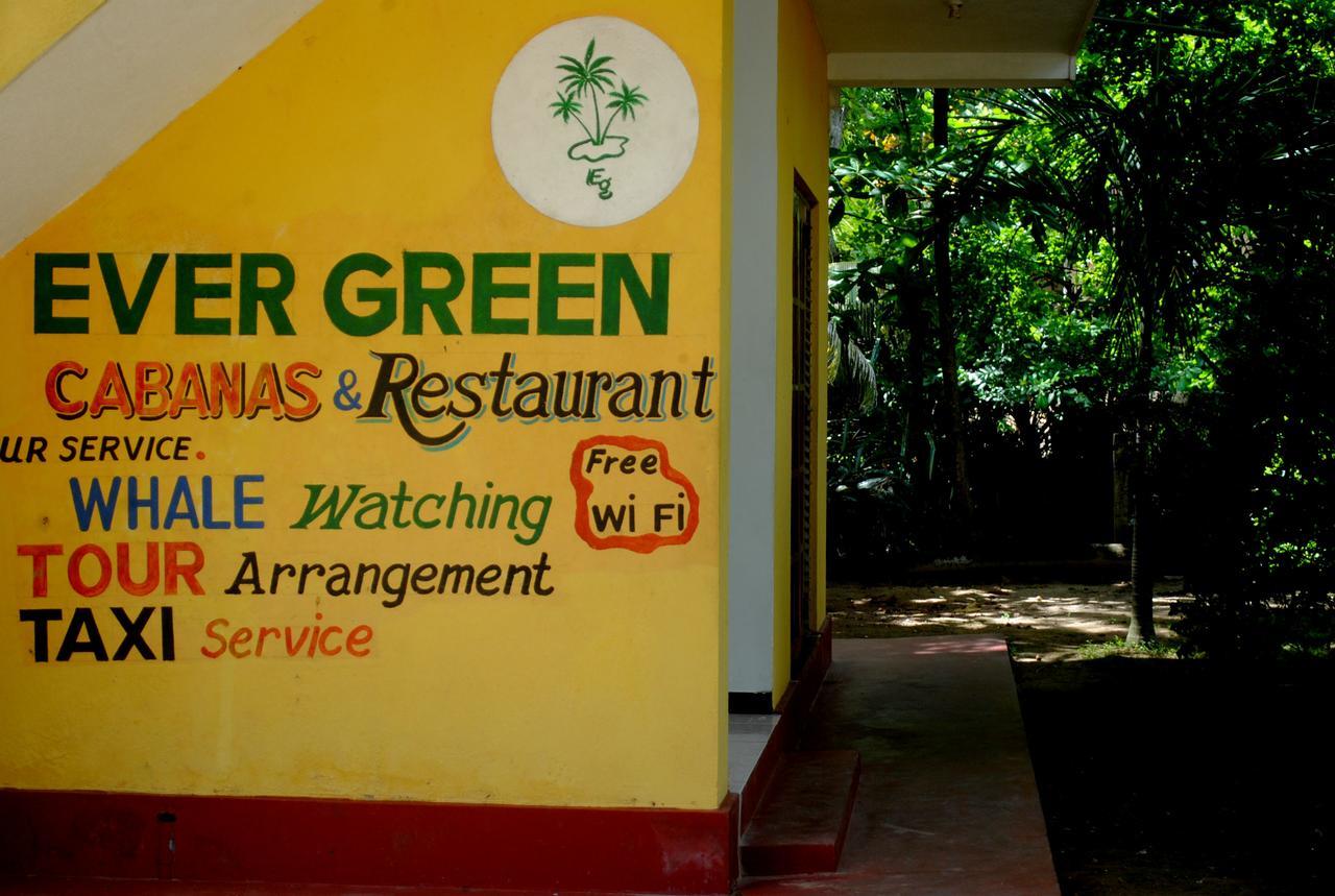 Ever Green Mirissa Exterior photo