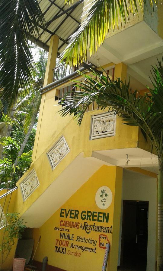 Ever Green Mirissa Room photo