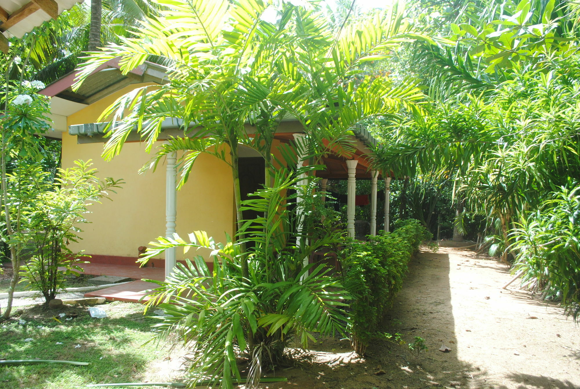 Ever Green Mirissa Exterior photo
